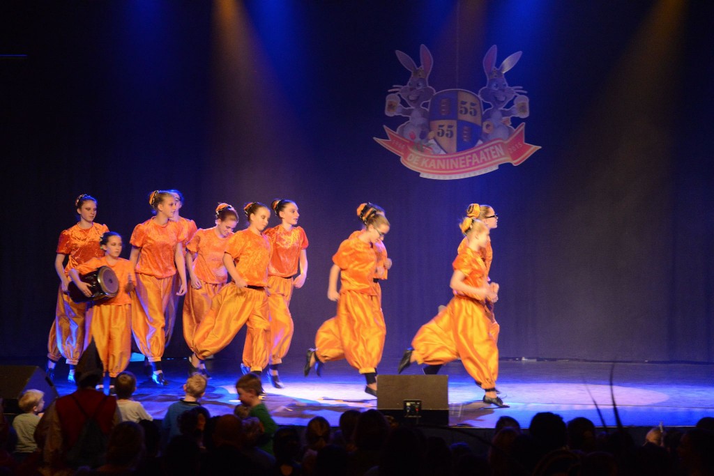 ../Images/Dansmarieke festival 2015 371.jpg